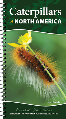 Caterpillars of North America: Easily Identify 90 Common Butterflies and Moths (Adventure Quick Guides) By Jaret C. Daniels Cover Image