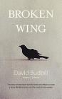 Broken Wing By David Budbill, Donald Saaf (Illustrator) Cover Image