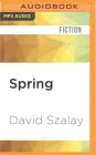Spring By David Szalay, Piers Wehner (Read by) Cover Image