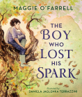 The Boy Who Lost His Spark By Maggie O'Farrell, Daniela Jaglenka Terrazzini (Illustrator) Cover Image