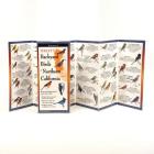 Sibley's Back. Birds of Northern California By David Allen Sibley (Text by (Art/Photo Books)), David Allen Sibley (Illustrator) Cover Image